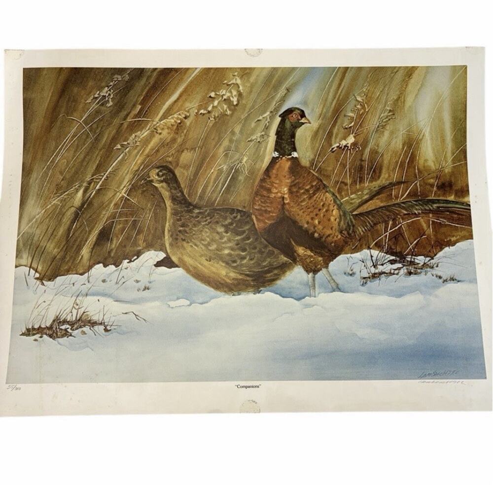 VTG Ring Neck Pheasant Companions Bird Art Print 35/300 Signed Hambrecht 25x18”
